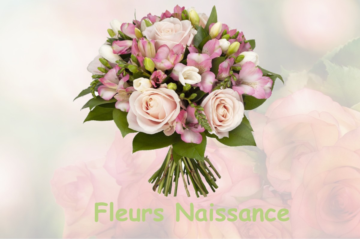 fleurs naissance COURTEMAUX