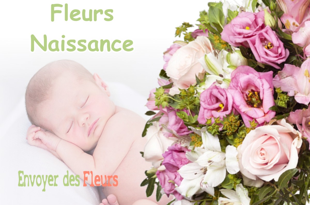 lIVRAISON FLEURS NAISSANCE à COURTEMAUX